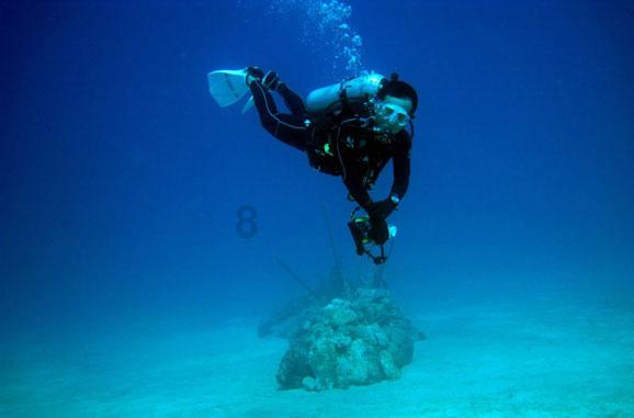 护卫舰为何受到各国海军青睐？ 邵永灵：性价比之选